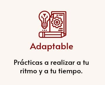 ADAPTADO